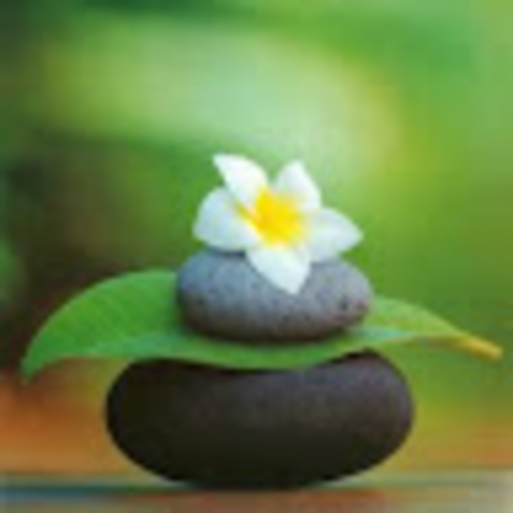 Meet your Posher, Judy